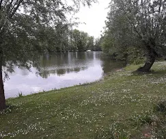 water 1.webp